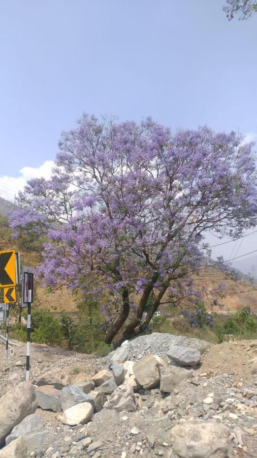 Astraal Resorts And Spa Rishīkesh Dış mekan fotoğraf