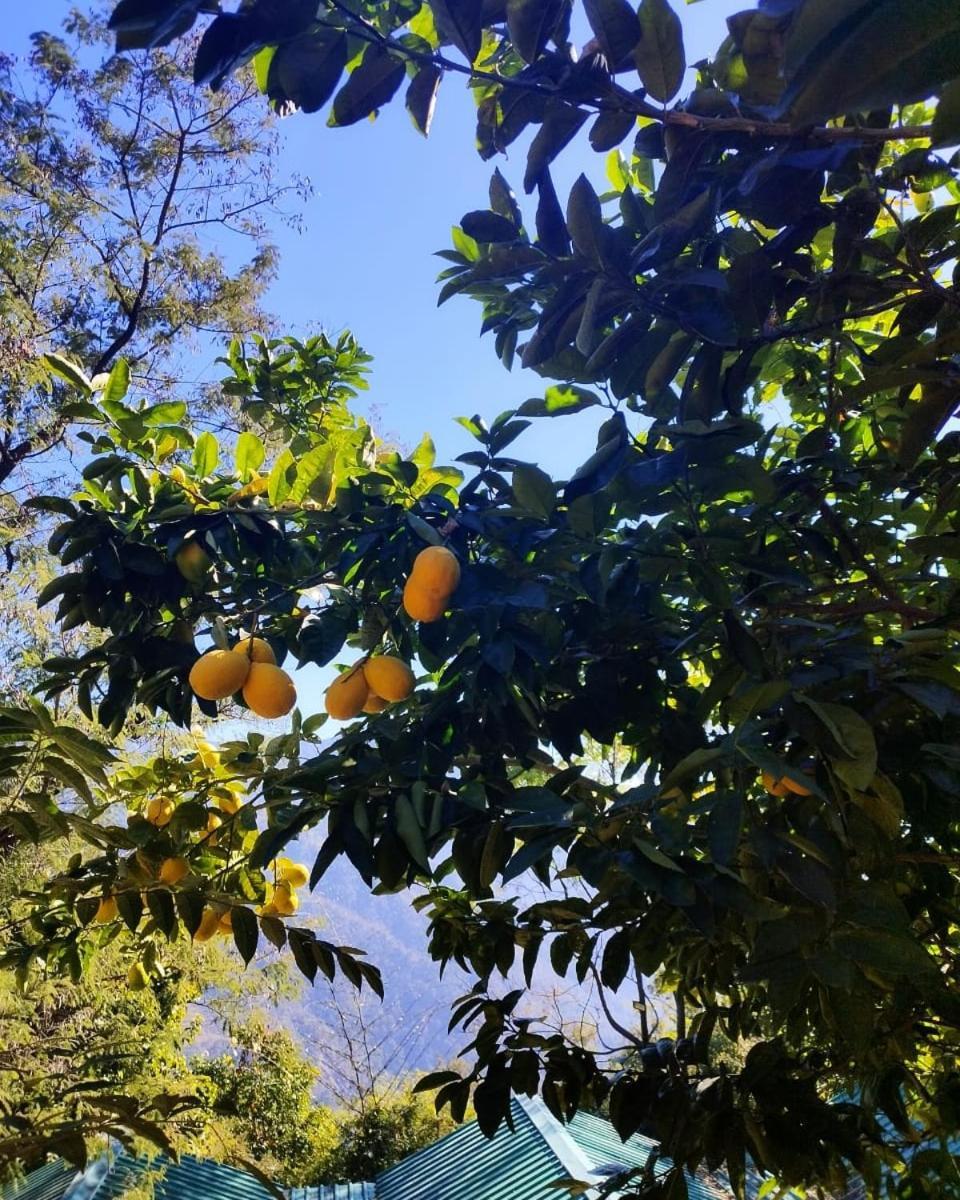 Astraal Resorts And Spa Rishīkesh Dış mekan fotoğraf